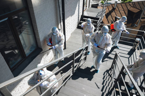 Best Crawl Space Mold Remediation  in Homestead Valley, CA