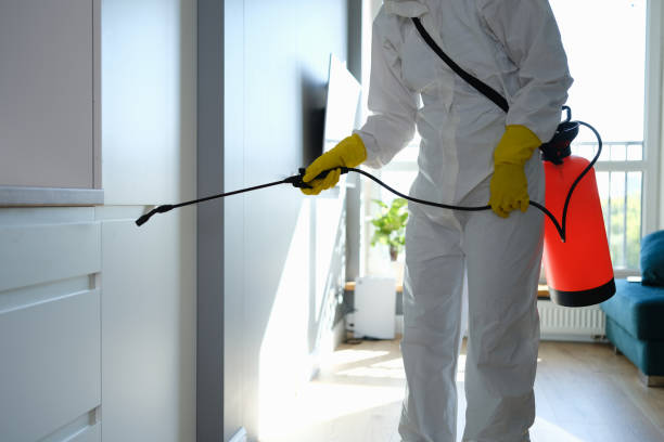 Best Environmental Consulting for Mold Prevention  in Homestead Valley, CA