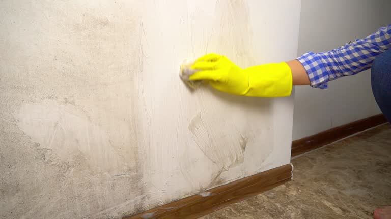 Best Flood Damage  in Homestead Valley, CA